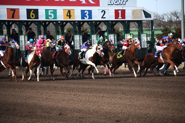 鹈鹏狂输黄蜂31分：锡安复出28+11赛季首次三球25+5+7.